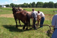 Tractor Club 021