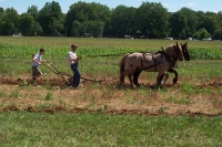 Tractor Club 022